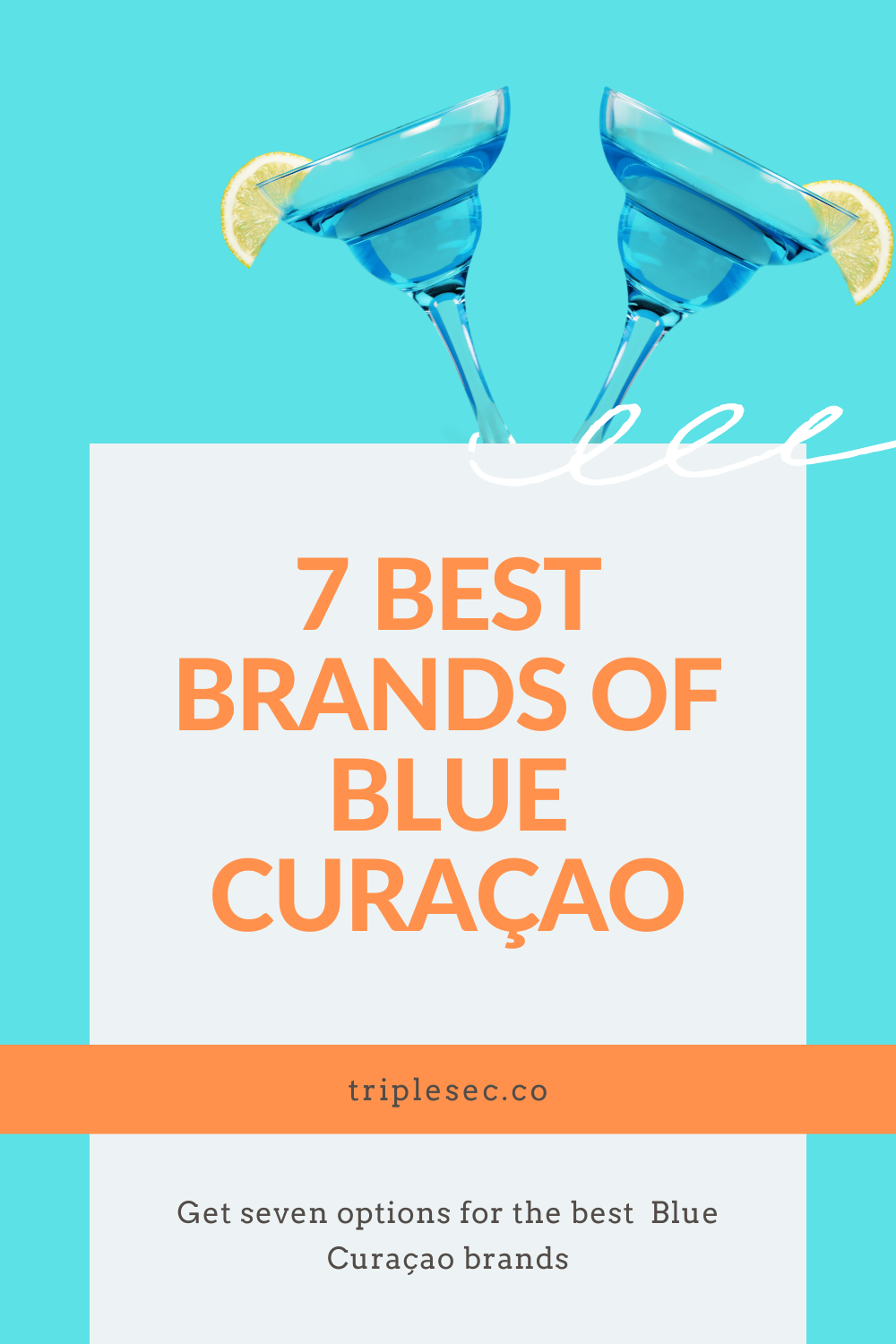 7 Best Blue Curaçao Brands Triple Sec